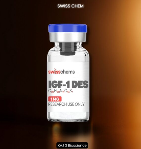 IGF-1 DES for muscle growth